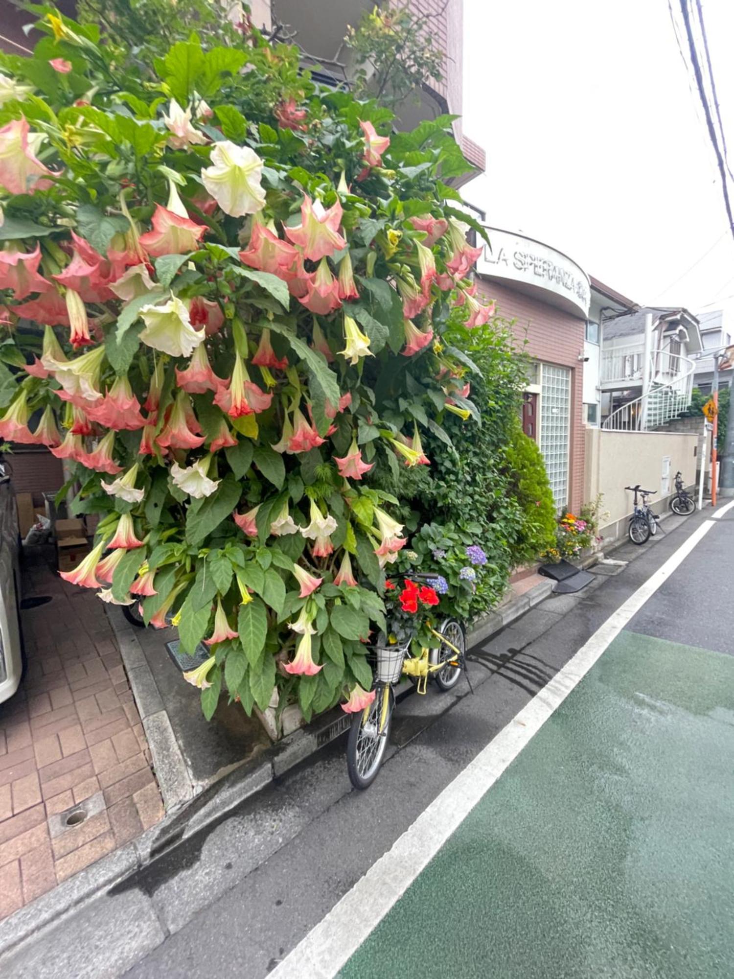 新宿庭院の屋-Shinjuku Garden Home -28 Square Meters King Size Bed Garden Room Prefektura Tokio Exteriér fotografie