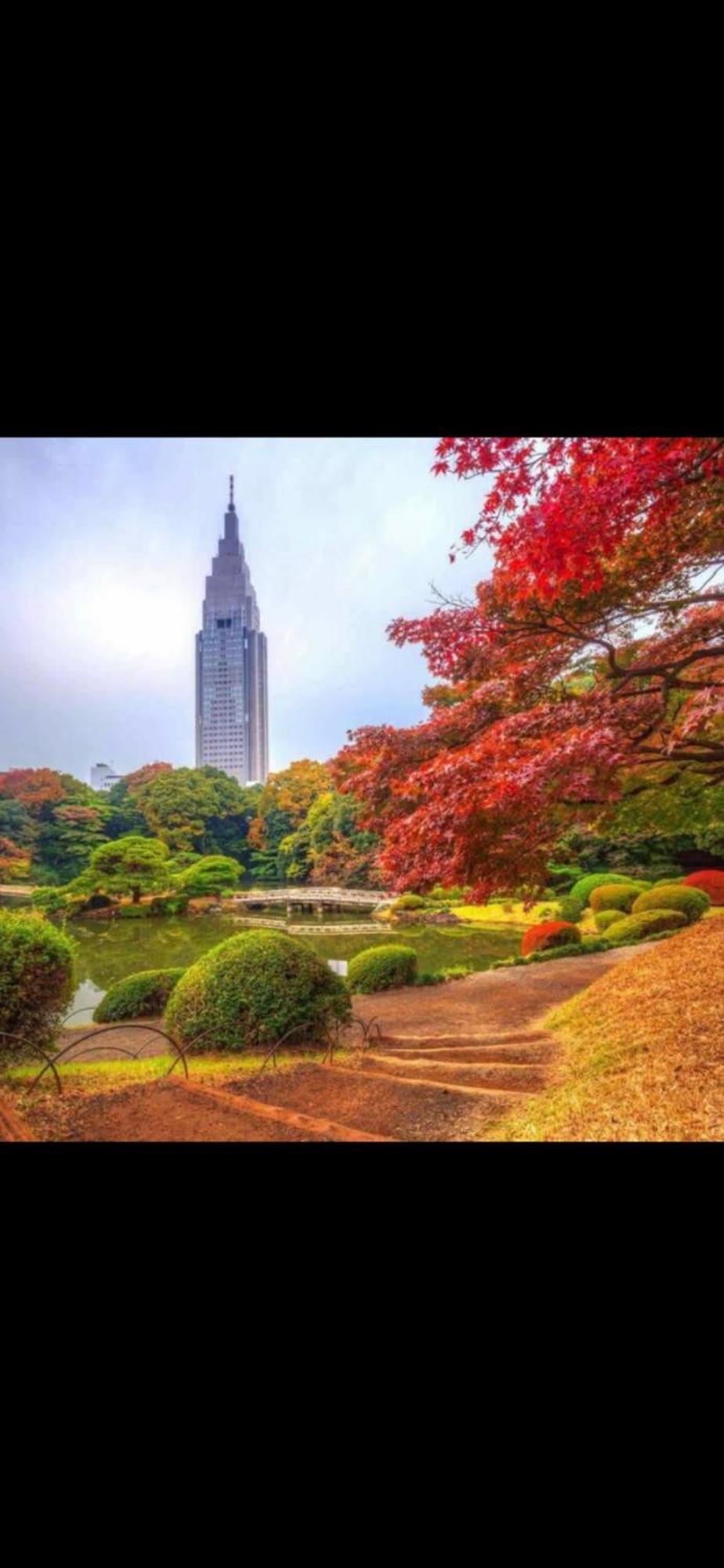 新宿庭院の屋-Shinjuku Garden Home -28 Square Meters King Size Bed Garden Room Prefektura Tokio Exteriér fotografie