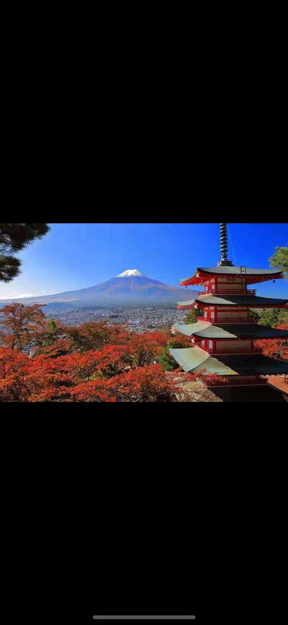 新宿庭院の屋-Shinjuku Garden Home -28 Square Meters King Size Bed Garden Room Prefektura Tokio Exteriér fotografie